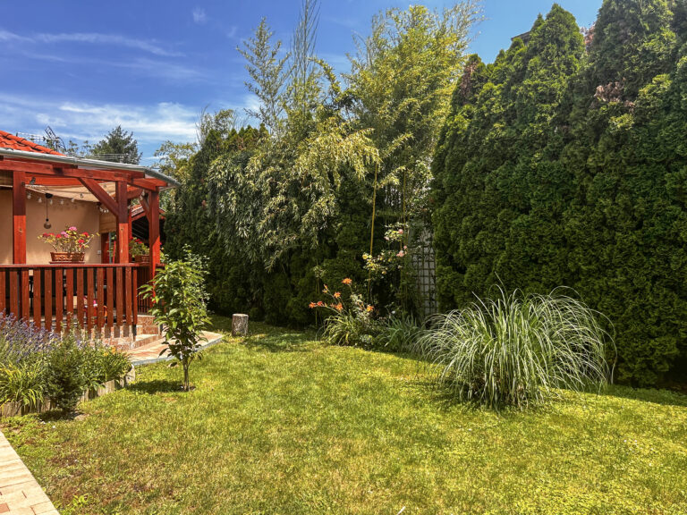 lilyhouse (2)